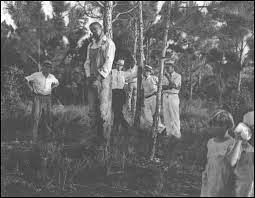Check spelling or type a new query. Strange Fruit