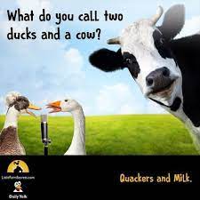 C Joke 110 Jpg 600 600 Cute Jokes Funny Jokes For Kids Kid Friendly Jokes