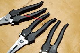 Manfaat perhitungan harga pokok penjuaan. Victorinox Gunting Pokok Bunga 7 Ded1 Empire Murah Facebook