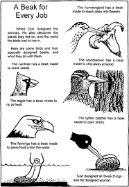 Bird Beak Worksheet Bird Unit Study Animal Adaptations Animal Science