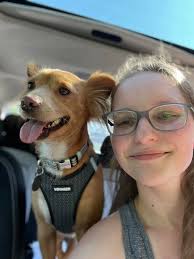 What breed is my dog Boba?