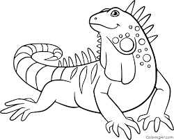 Les textes sont disponibles sous licence creative commons attribution partage à l'identique; 23 Free Printable Iguana Coloring Pages In Vector Format Easy To Print From Any Device And Automatically Animal Coloring Pages Animal Drawings Coloring Pages