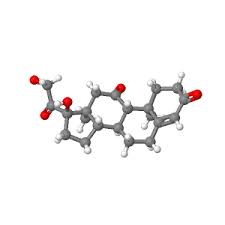 Image result for Cortisone