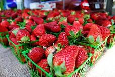 Haile Farmers Market