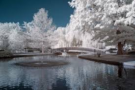 Jacob Loose Park Kansas City Mo Hometown Beauty Visit Us On Facebook At Https Www Facebook C Kansas City Missouri Kansas City Adventure Is Out There