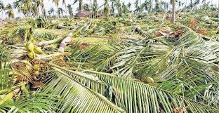 Image result for à®ªà¯à®¯à®²à¯ à®¨à®¿à®µà®¾à®°à®£ à®¨à®¿à®¤à®¿