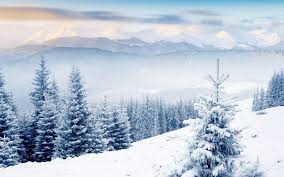 We did not find results for: Hd Winter Landscape Wallpapers Wallpaper Cave