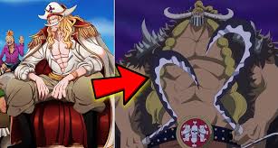 One Piece: Is Weevil Really Whitebeard'S Son?