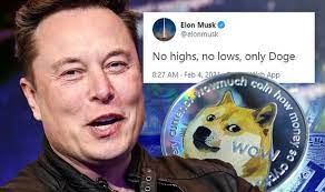 He also posted a meme from the disney movie the lion king, showing the monkey shaman rafiki holding. Dogecoin Price Value Elon Musk Tweet Sends Meme Currency Soaring 65 City Business Finance Express Co Uk