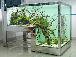 Top Quality Aquatics On Instagram How Would You Stock This Drop Off Aquarium Via Aquariodossonhos Aquarium Design Aquarium Home Aquarium