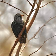 Marc Forman (@mfdsfb) • Instagram photos and videos