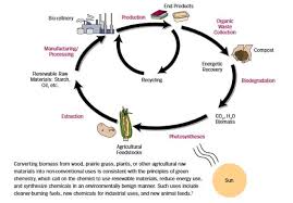 Green Chemistry History Principles With Diagram