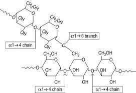This signals the beta cells of the pancreas to notice: Carbohydrate Storage And Synthesis In Liver And Muscle Medical Biochemistry
