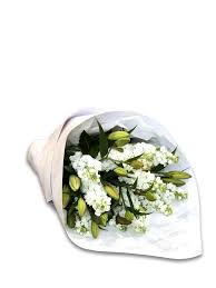 We did not find results for: Stock Lily Bouquet Brooklyn Flowers