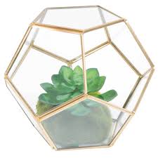 Terrario De Metal Y Vidrio Al 15 Cm Jungle Idees Terrariums Idee Deco Appartement Deco