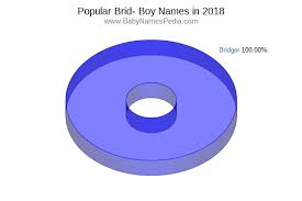 Girls' names beginning with the letter r include a range of popular choices, from the biblical classics rachel and rebecca to unisex newcomers rowan and remi. View Boy Names Starting With Brid At Baby Names Pedia With Concise Name Meanings Origins Pronunciation And Charts
