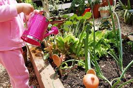 Pre School Gardening Club Weekly Activities Plan Preschool Garden School Garden Garden Club
