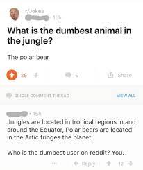 These funny knock knock jokes are great for kids, but good (and bad) enough to make adults laugh. Pin On Lol Wot