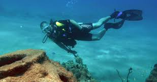 Diving is an internationally recognized sport that is part of the olympic games. Moon Island Diver