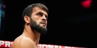 Dominick Cruz "The Dominator" Record: 24-4-0, Stats, and Past Fights