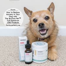Ellevet's cbd+cbda chews for dogs offer relief for dogs. Review How To Reduce Anxiety In Your Dog With The Anxious Pet Full Spectrum Cbd Products The Chesnut Mutts