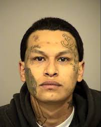 Four arrested, guns recovered in Santa Paula gang bust