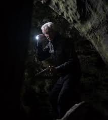 Мэттью модайн, эмма дюмон, шарлотта вега и др. Wrong Turn 2021