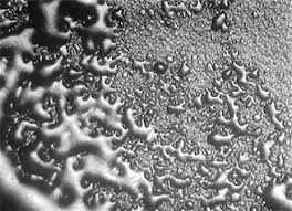 Not to mention its ugly. Automotive Coatings Application Defects American Coatings Association