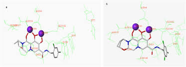 Image result for Integrase Strand Transfer Inhibitor