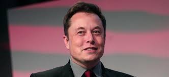 And some experts believe the appearance may send the cryptocurrency even higher. Boom Vs Zerstorung Elon Musk Trifft Nerv Wird Dogecoin Zum Schandfleck Des Kryptoversums Nachricht Finanzen Net