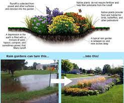 What is a rain garden? How To Build A Rain Garden Tips Rain Garden For Success