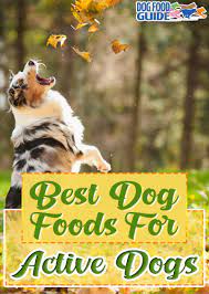 Best Dog Foods For Active Dogs Dog Activities Best Dog Food Dog Food Recipes