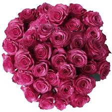 Flowers are one of the most beautiful creations of nature. Online Hot Pink Lola Roses Flower Special Prices Globalrose