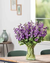 You know what that means? Cut Flowers 2019 2020 Edition Panamerican Seed