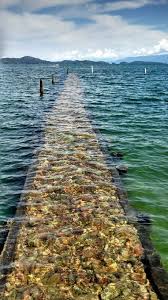 Secure booking · no booking fees · 24/7 customer service Flathead Lake Polson Montana This Made Me Think Of The Journey We Take And The One That Leads Us Hom Montana Travel Montana Vacation Beautiful Places To Visit