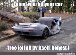 Meme Found Who Hit Your Car Tree Fell All By Itself Honest All Templates Meme Arsenal Com