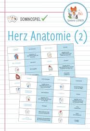 Herz Anatomie Grosses Domino Spiel Unterrichtsmaterial Im Fach Biologie In 2020 Domino Spiele Herz Anatomie Domino