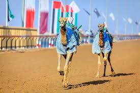 The tracks are set in the lee of large sand dunes and come alive with thousands of enthusiasts cheering on the camels as they. 14 Top Rated Tourist Attractions In Al Ain Planetware