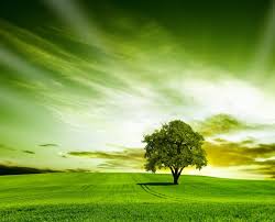 We did not find results for: 35 Most Beautiful Nature Wallpapers For Your Desktops