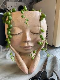 A cute little pot. Combined some new and some cuttings.