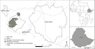 You can customize the map before you print! Map Of The Study Area In Central Highlands Of Ethiopia Download Scientific Diagram