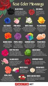 We did not find results for: 18 Rose Color Meanings That Are Just More Than Romantic Facts Net