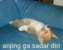 Ia tinggal di rumah berbentuk nanas di dasar laut. Pin Oleh Woozi S Wifeu Di Recehkan Cartoon Jokes Meme Anjing Meme Kartun