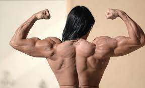 Instead of having a strong back, many of us have a defended front shielding a weak spine. How To Build A Sexy Back At Home Bkp Collection
