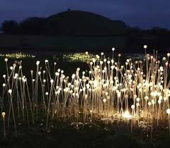 Artist Bruce Munro Creates Brilliant Fiber Optic Fields Of Light Outdoor Lighting Design Decorative Solar Lights Solar Lights Garden