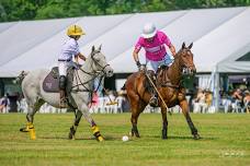 Niagara Polo