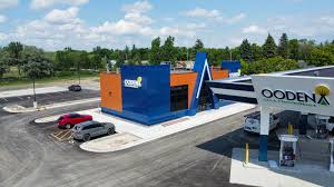 Image result for Oedina