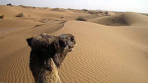 Sahara cuprinde o treime din africa, aproximativ suprafața statelor unite ale americii, sau de 26 ori mai mare decât suprafața germaniei. CÄlÄtorind In DeÈertul Sahara Africa