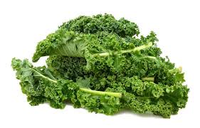 Bildergebnis für grünkohl pflanzen