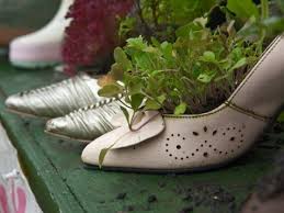 Pin Auf Blumen